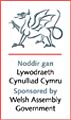 Welsh Assembly Government logo