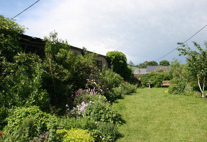 wildlife garden at the rear of The Resource Centre
